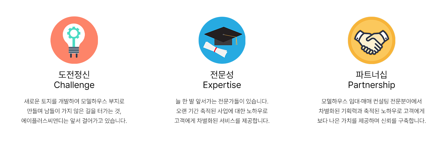 도전정신/전문성/파트너십 아이콘 설명